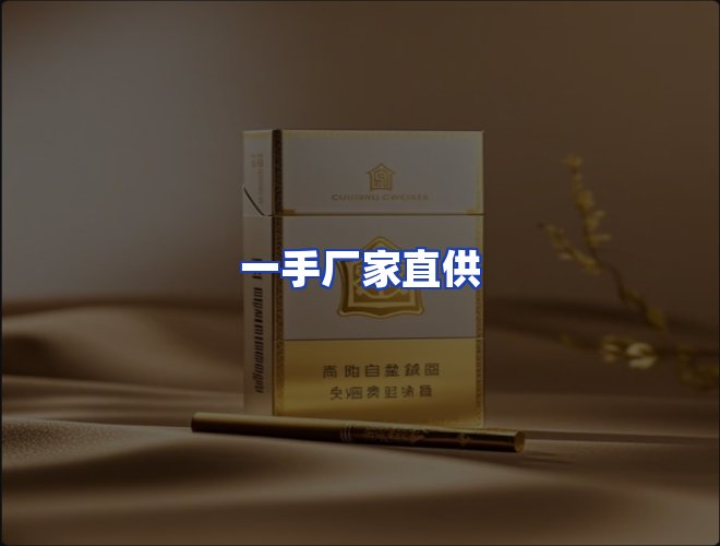 专业团队
